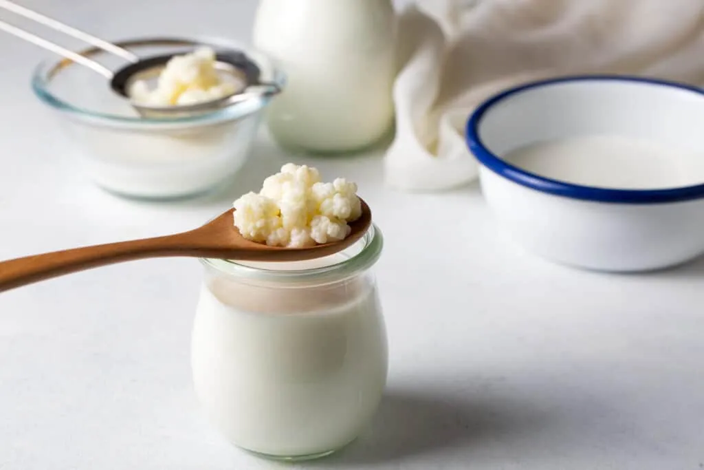 La vérité sur le kéfir : bienfaits, mythes et recettes maison