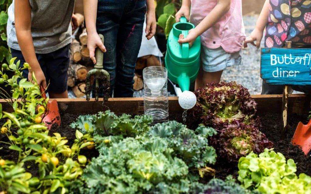La permaculture en milieu urbain : est-ce vraiment possible ?