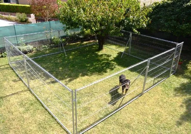 Enclos pour chien : avez-vous besoin d’aide pour dresser votre chien ?