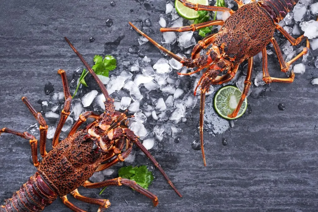 Comment faire cuire des queues de langoustes surgelées