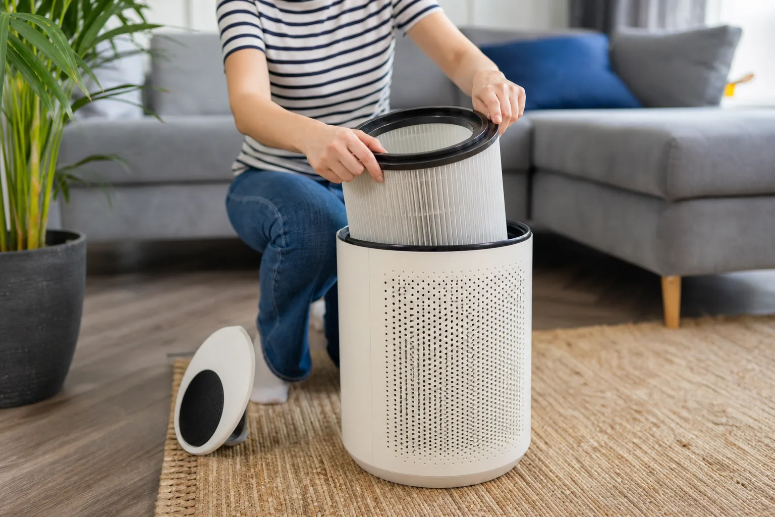 Quand changer le filtre de son purificateur d'air : fréquence, signes et bon entretien